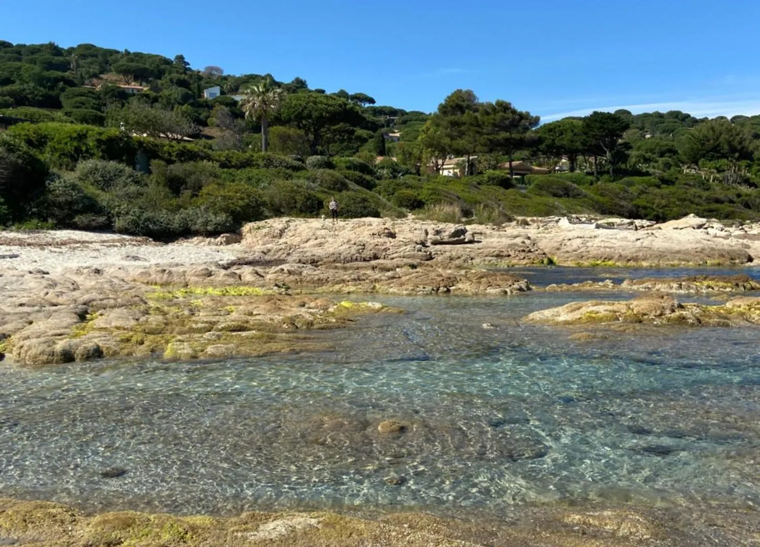 Best Holiday Port Grimaud