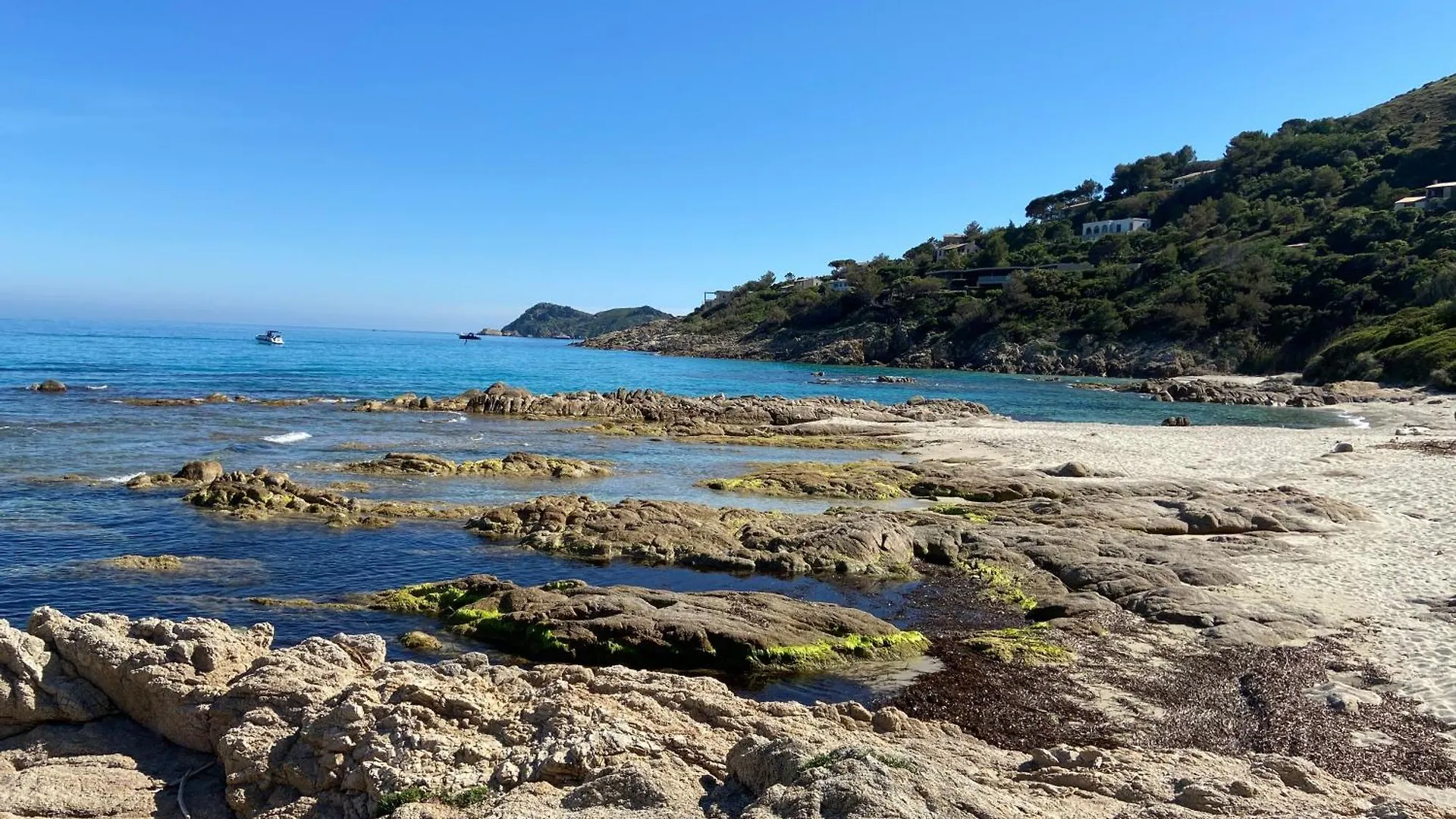 Best Holiday Port Grimaud